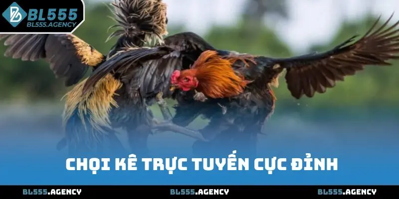 Chọi kê trực tuyến cực đỉnh