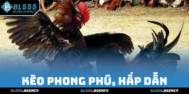 Ưu điểm không thể chối từ của đá gà truyền thống